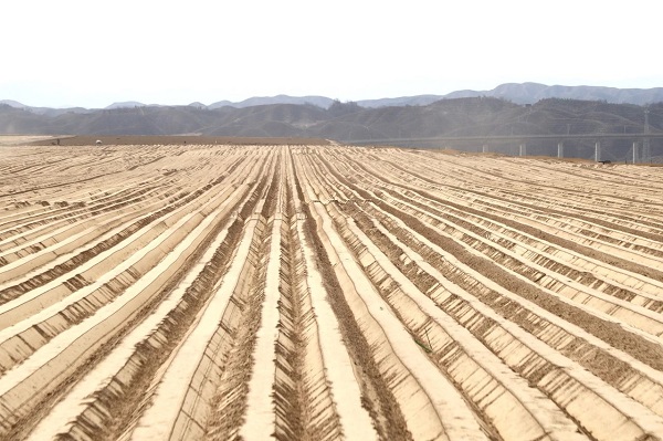 微信圖片_20250515094751.jpg 微信圖片_20250515094751.jpg